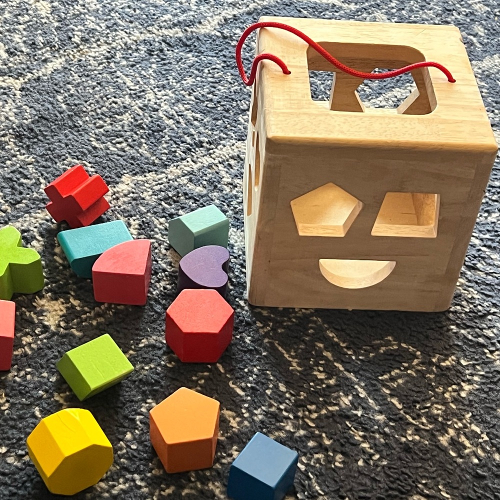 Montessori Wooden Shape Sorter Toy with Colorful Blocks